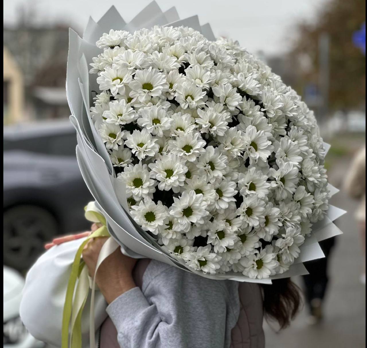 Белые ромашковые хризантемы