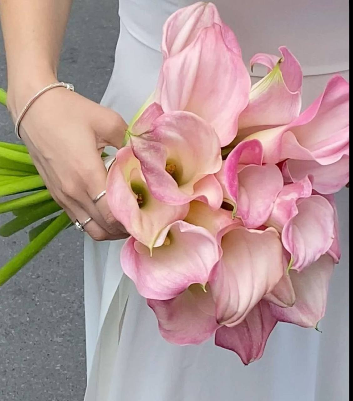 Розовые каллы